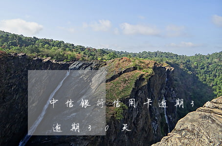 中信银行信用卡逾期30天(中信银行信用卡逾期30天)