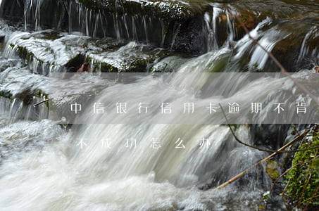 中信银行信用卡逾期不肯协商(中信银行协商不成功怎么办)