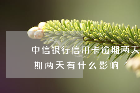 中信银行信用卡逾期两天(中信银行信用卡逾期两天有什么影响)
