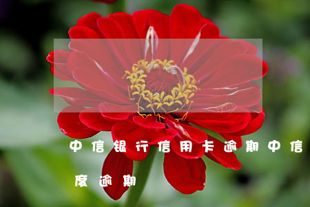 中信银行 信用卡 逾期（中信银行信用卡临时额度逾期）