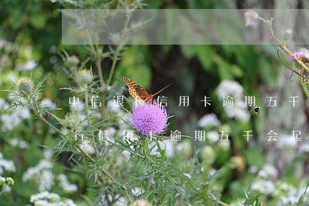 中信银行信用卡逾期五千会起诉吗-中信银行信用卡逾期五千会起诉吗知乎