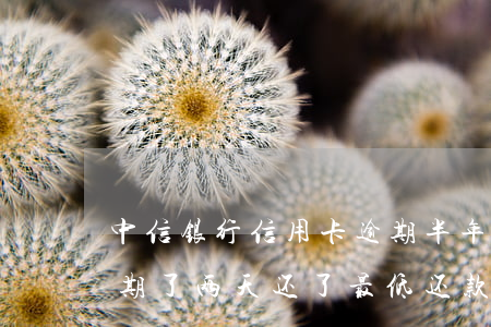 中信银行信用卡逾期半年还了-中信银行逾期了两天还了最低还款会逾期吗