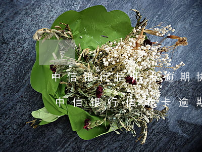 中信银行信用卡逾期协商分期打哪个电话-中信银行信用卡逾期协商分期打哪个电话投诉