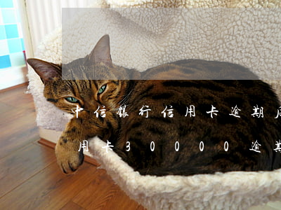 中信银行信用卡逾期后多久能办(中信银行信用卡30000逾期半年需要还多少)