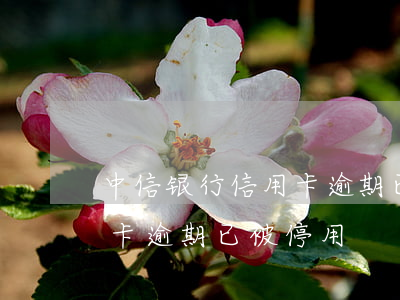 中信银行信用卡逾期已被停用(中信银行信用卡逾期已被停用)