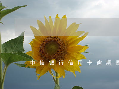 中信银行信用卡逾期暴力催债