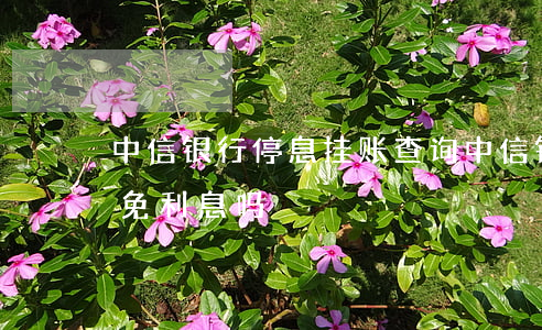 中信银行停息挂账查询(中信银行停息挂帐减免利息吗)