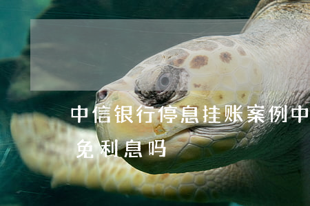 中信银行停息挂账案例(中信银行停息挂帐减免利息吗)