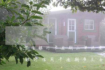 中信银行卡逾期三年,说要立案是真的吗（中信银行信用卡逾期多久会爆通讯）