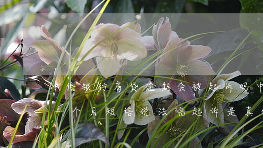 中信银行房贷逾期会被起诉吗(中信银行逾期一个月短信说法院起诉是真的嘛)