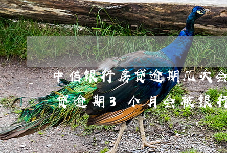 中信银行房贷逾期几次会被起诉(中国银行房贷逾期3个月会被银行起诉吗)