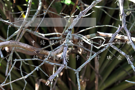中信银行欠信用卡六千块会起诉吗-中信银行欠信用卡六千块会起诉吗知乎