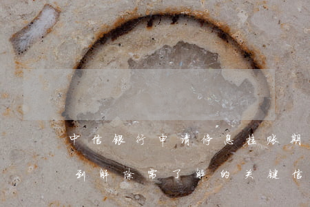 中信银行申请停息挂账期间具体时长：从申请到解除需了解的关键信息