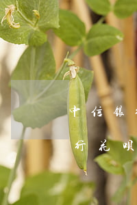 中信银行花呗逾期信用卡能通过吗-中信银行花呗逾期信用卡能通过吗安全吗