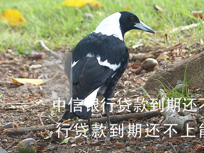 中信银行贷款到期还不上能协商吗-中信银行贷款到期还不上能协商吗怎么办