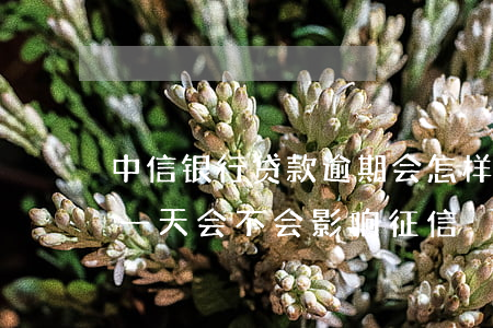 中信银行贷款逾期会怎样(中信银行贷款逾期一天会不会影响征信)