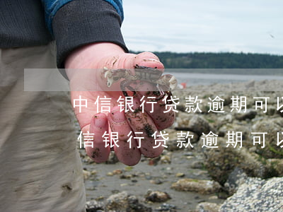中信银行贷款逾期可以办理停息挂账吗-中信银行贷款逾期可以办理停息挂账吗
