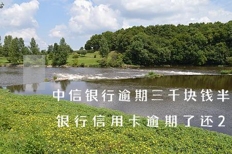 中信银行逾期三千块钱半年会怎么处理（中信银行信用卡逾期了还200元）