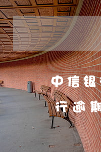 中信银行逾期了暂时还不上怎么办-中信银行逾期了暂时还不上怎么办呢