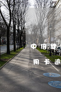 中倍健信用卡逾期一年會有影響嗎 中倍健信用卡逾期一年會有影響嗎