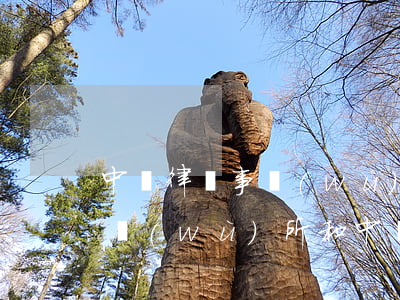 中倫律師事務(wù)所在哪里(中倫律師事務(wù)所和中倫文德律師事務(wù)所)