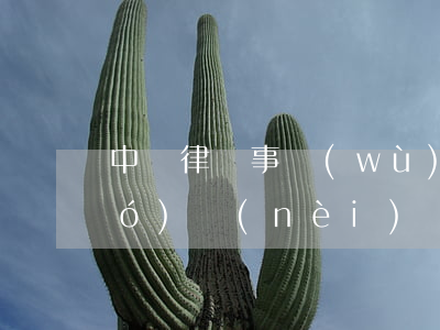 中倫律師事務(wù)所排名第幾(國(guó)內(nèi)頂級(jí)律師事務(wù)所排名)