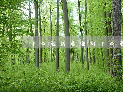 中公退款要逾期(中公退款慢怎么辦)
