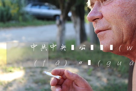 中共中央辦公廳 國務(wù)院辦公廳 印發(fā)《關(guān)于強化知識產(chǎn)權(quán)保護(hù)的意見》