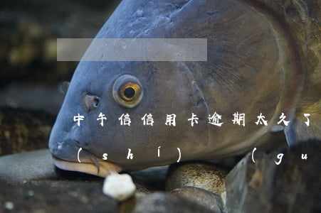 中午信信用卡逾期太久了(中信信用卡逾期時(shí)間過(guò)長(zhǎng))