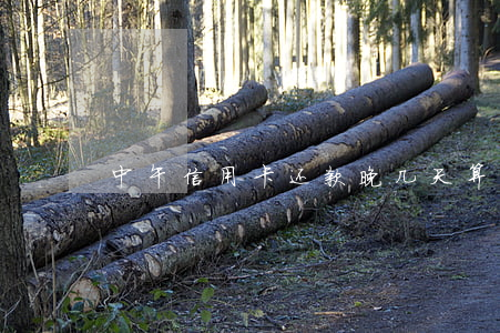 中午信用卡还款晚几天算逾期 几点还信用卡