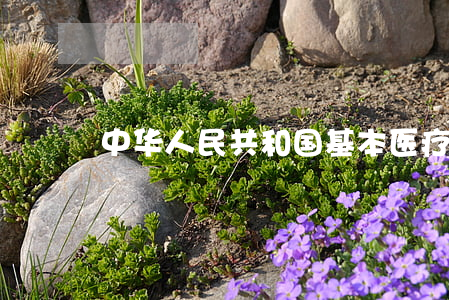 中华人民共和国基本医疗卫生与健康促进法