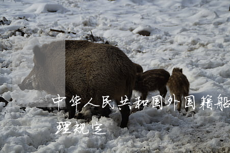 中华人民共和国外国籍船舶航行长江水域管理规定