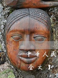 中华人民共和国统计法2023最新修订【全文】