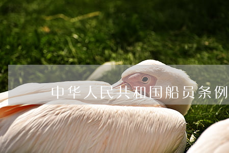 中华人民共和国船员条例中中