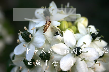 中华人民共和国行政诉讼法2023最新修正版【全文】