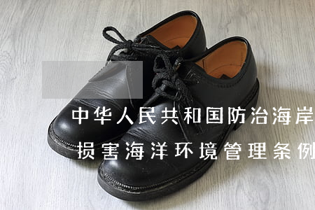 中华人民共和国防治海岸工程建设项目污染损害海洋环境管理条例