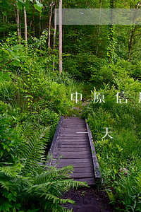 中原信用卡逾期一天还款后果(中原金融逾期一天)