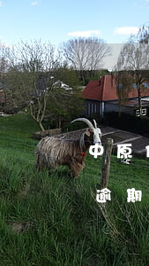 中原信用卡逾期三天会咋样(中原银行信用卡 逾期一天有没有影响?)