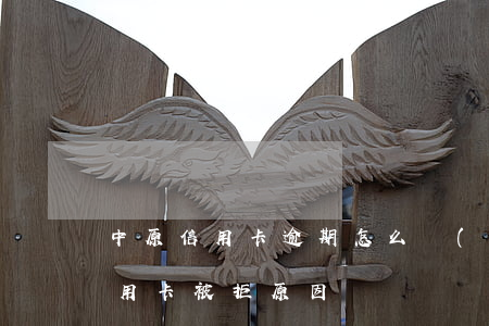 中原信用卡逾期怎么協(xié)商(中原信用卡被拒原因)