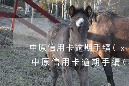中原信用卡逾期手續(xù)費(fèi)(中原信用卡逾期手續(xù)費(fèi)怎么算)
