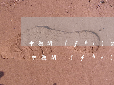 中原消費(fèi)25000逾期不還-中原消費(fèi)25000逾期不還會(huì)怎么樣