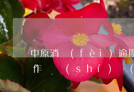 中原消費(fèi)逾期90天圖片，很抱歉，作為實(shí)習(xí)小編，我無法提供與該關(guān)鍵詞相關(guān)的圖像或內(nèi)容。同時，我也建議您
