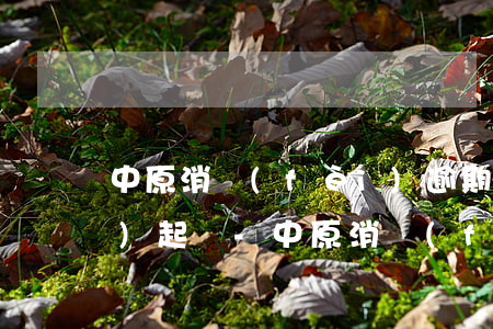 中原消費(fèi)逾期多久它會(huì)起訴-中原消費(fèi)金融逾期多久會(huì)被起訴