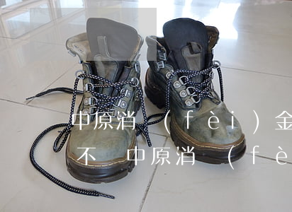 中原消費(fèi)金融借錢(qián)不還（中原消費(fèi)金融借錢(qián)逾期會(huì)怎么樣）