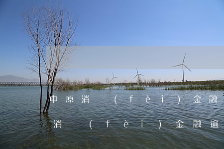 中原消費(fèi)金融逾期催收流程(中原消費(fèi)金融逾期催收流程)