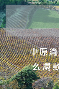 中原消費逾期了怎么還款(中原消費逾期了怎么還款)