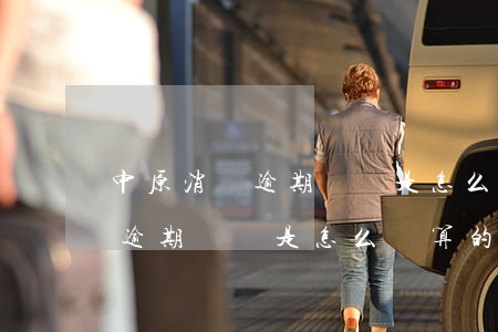 中原消費逾期時間是怎么計算的-中原消費逾期時間是怎么計算的呢