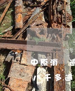 中原消費逾期還不起說要起訴我(欠中原消費八千多逾期一年半)