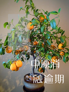 中原消費金融逾期都有哪些費用(中原消費金融逾期過還能借貸嗎)