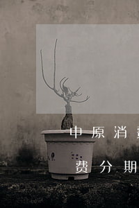 中原消费分期逾期一个月会怎么样-中原消费分期逾期一个月会怎么样吗